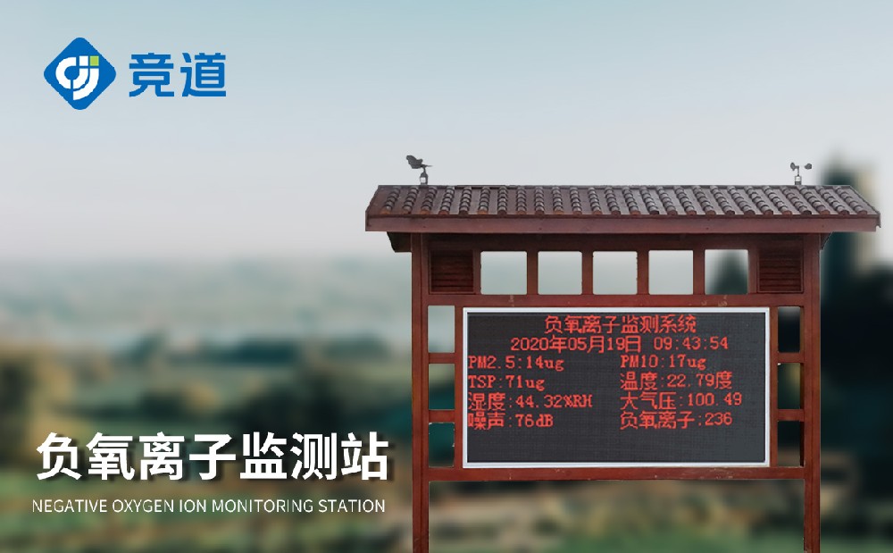负氧离监测仪