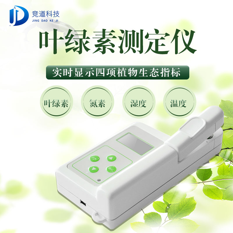 叶绿素:动物的厨师