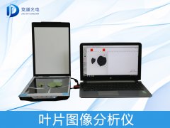 叶片图象是若何阐发的?