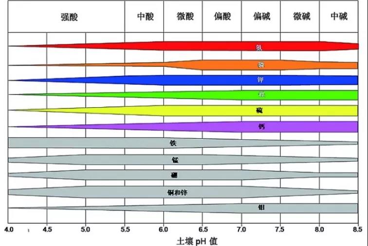 泥土PH速测仪,疾速测PH 泥土PH速测仪,疾速测PH